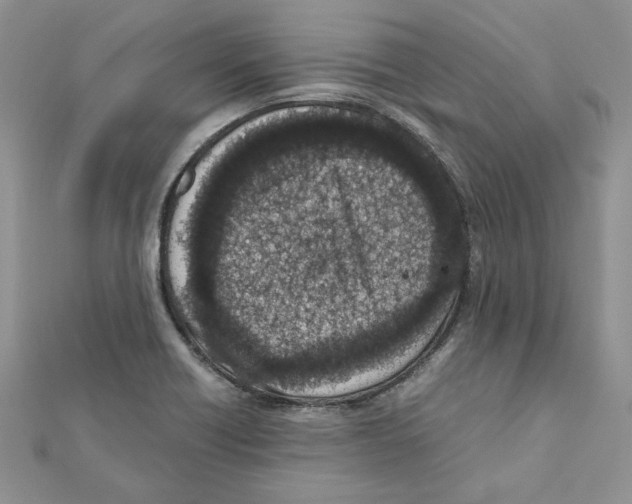 X0000111661418200908141304