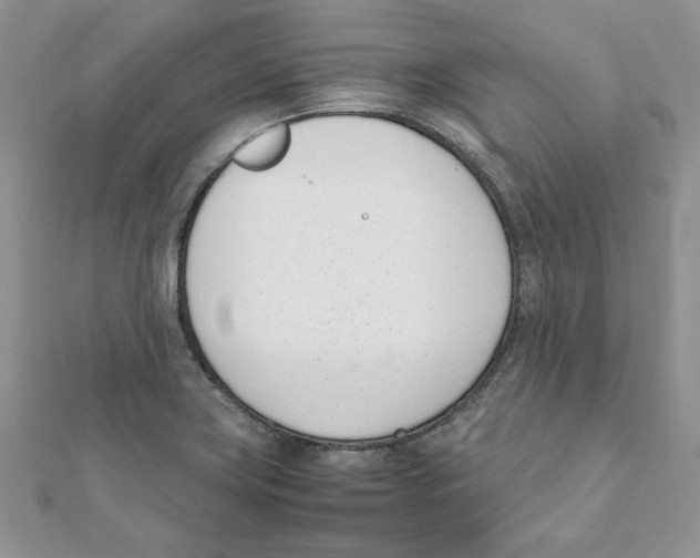 X0000111661419200908141304