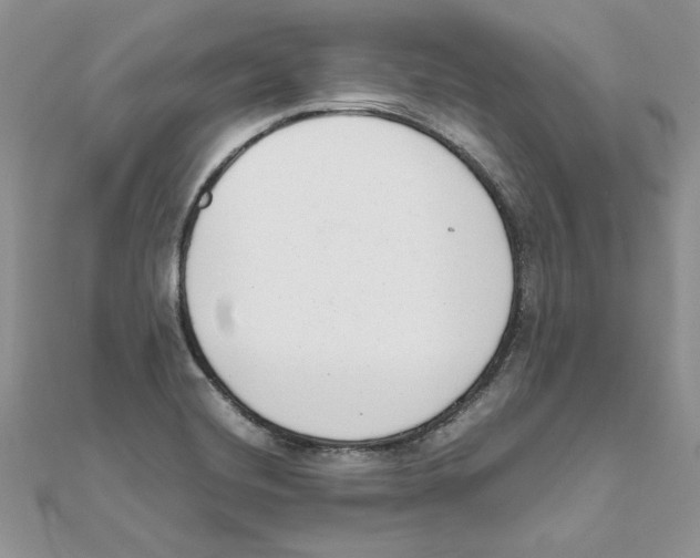 X0000111661420200908141304