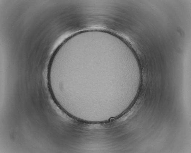 X0000111661422200908141304