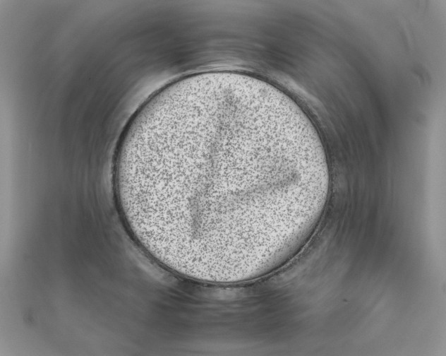 X0000111661423200908141304