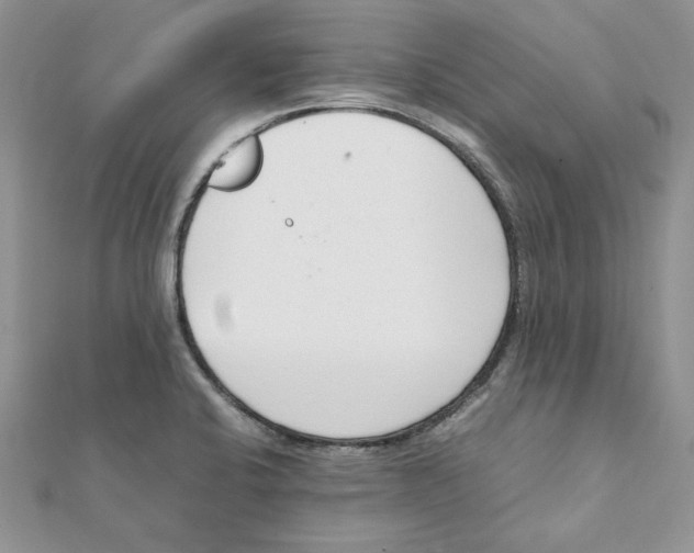 X0000111661424200908141304