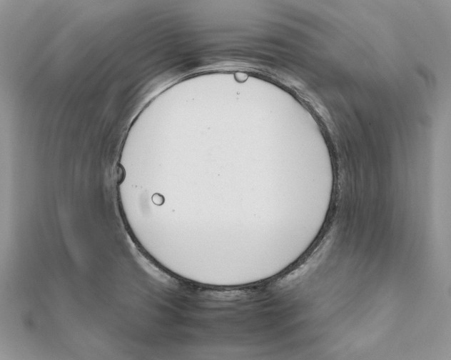 X0000111661425200908141304