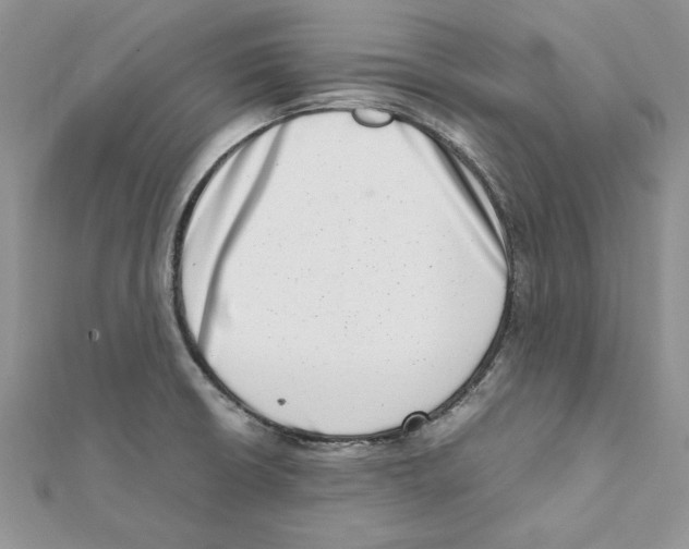 X0000111661426200908141304