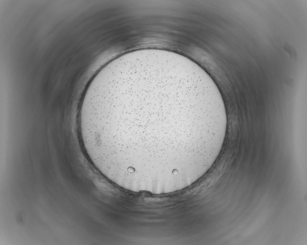 X0000111661427200908141304