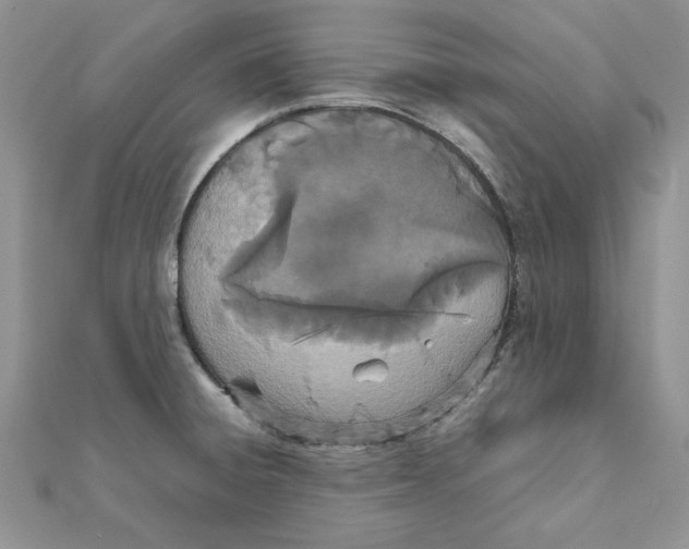 X0000111661428200908141304