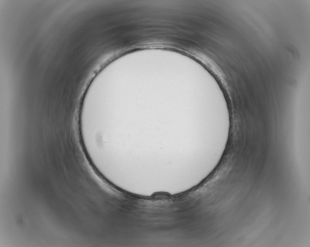 X0000111661429200908141304