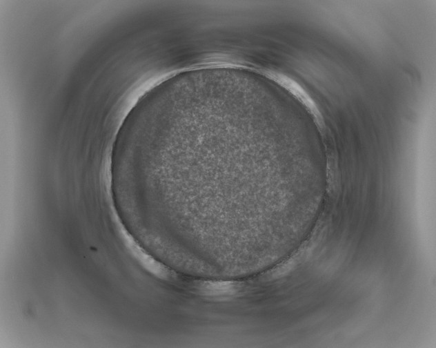 X0000111661431200908141304