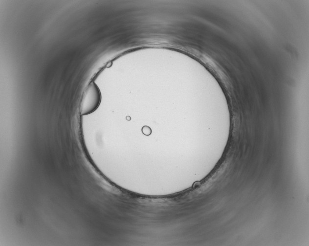 X0000111661432200908141304