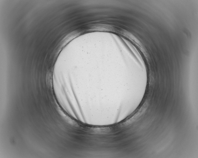 X0000111661433200908141304