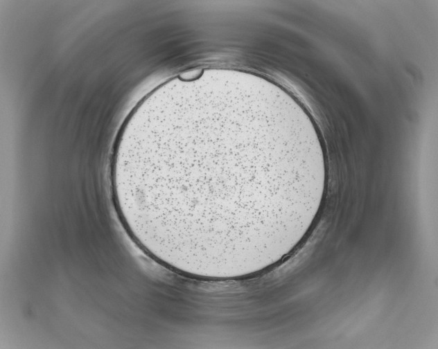 X0000111661434200908141304