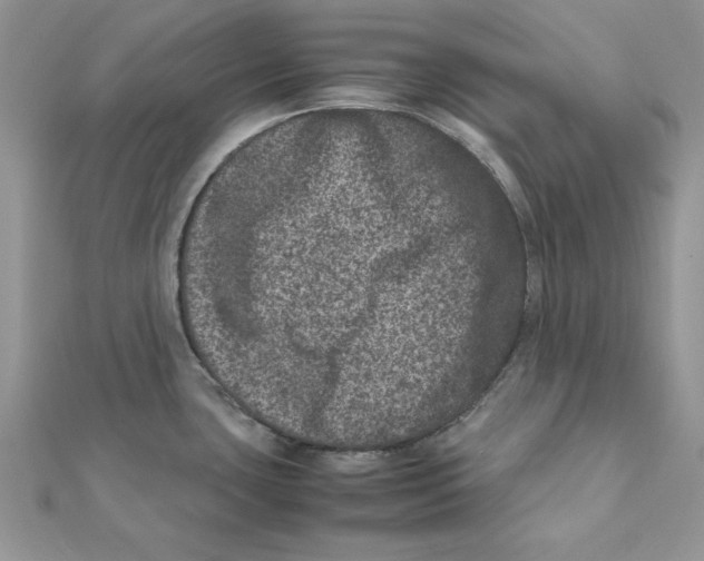 X0000111661435200908141304