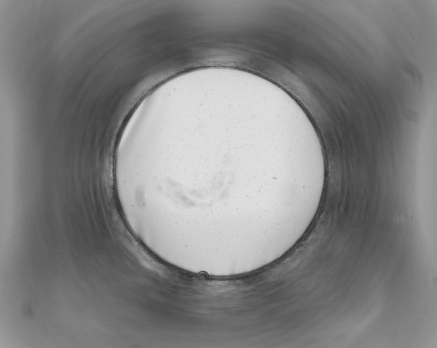 X0000111661436200908141304