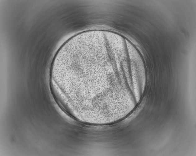 X0000111661438200908141304