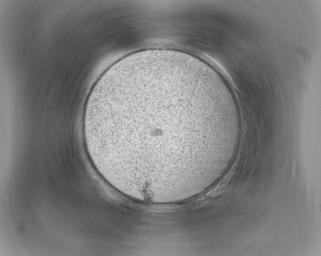 X0000111661440200908141304