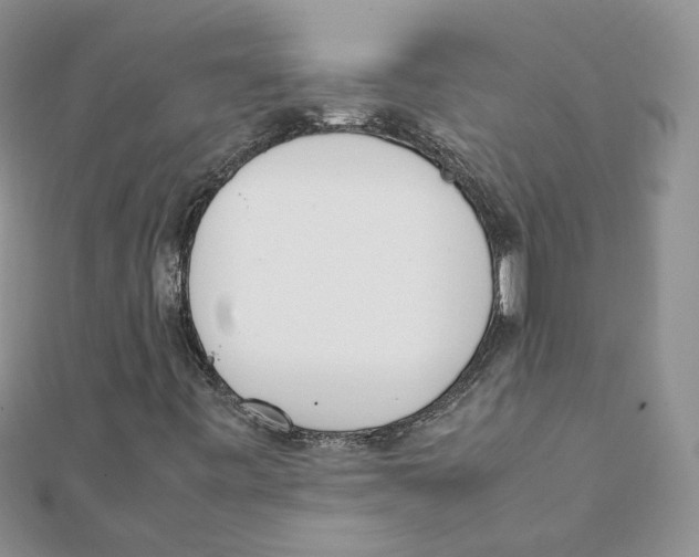 X0000111661443200908141303