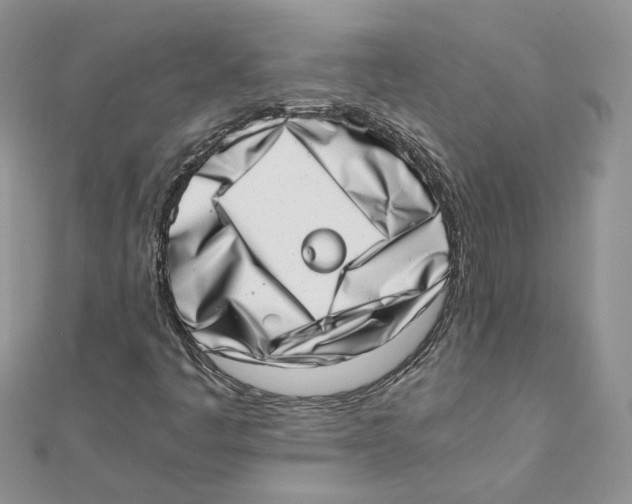 X0000111661445200908141303