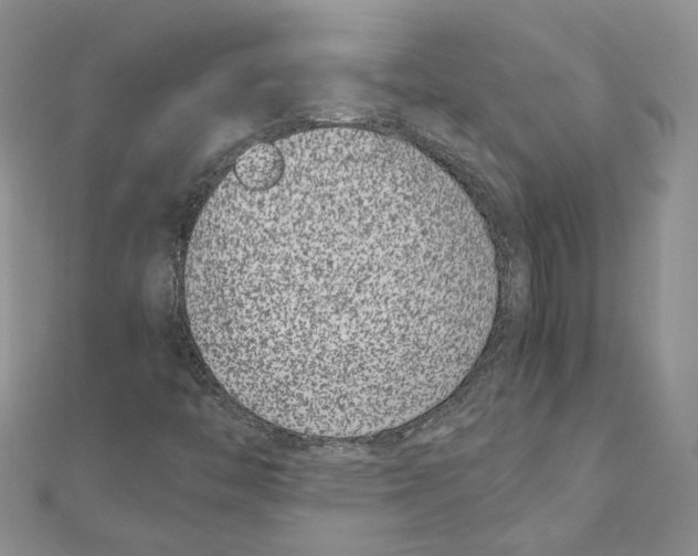 X0000111661446200908141303