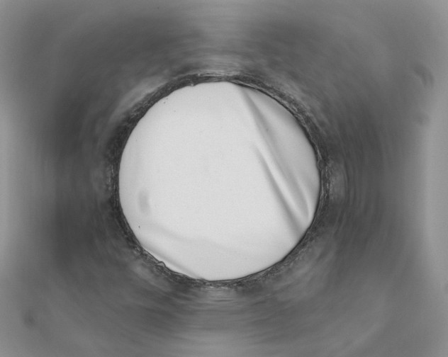 X0000111661448200908141303