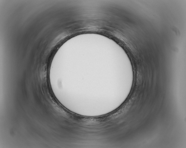 X0000111661450200908141303