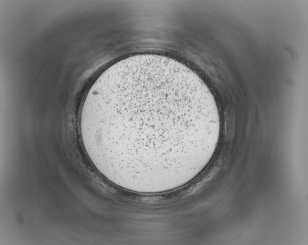 X0000111661453200908141303