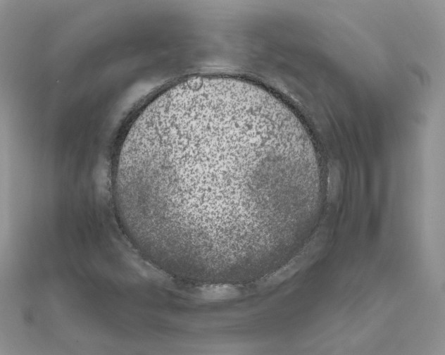 X0000111661454200908141303