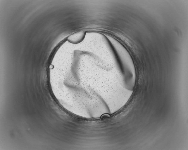 X0000111661458200908141303