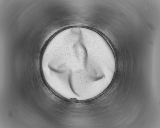 X0000111661460200908141303