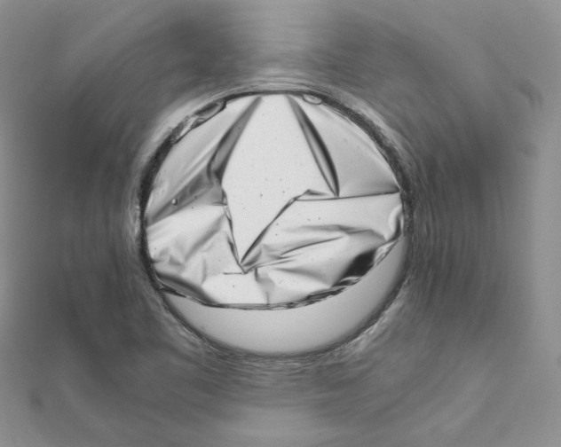 X0000111661461200908141303