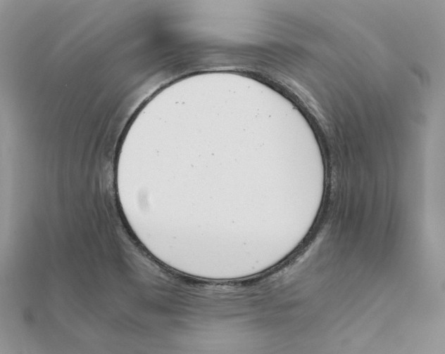 X0000111661465200908141303