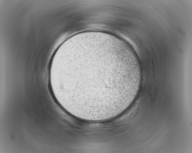 X0000111661467200908141303