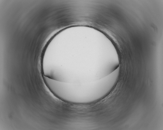 X0000111661468200908141303