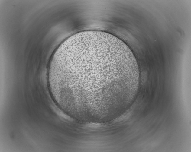 X0000111661470200908141303