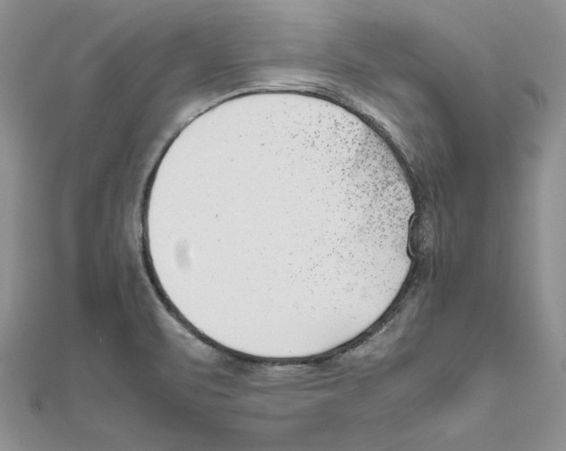 X0000111661471200908141303