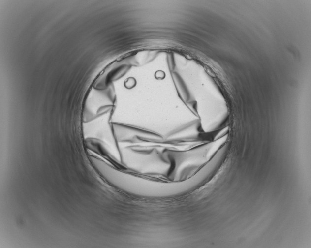 X0000111661473200908141303