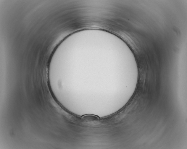 X0000111661476200908141303