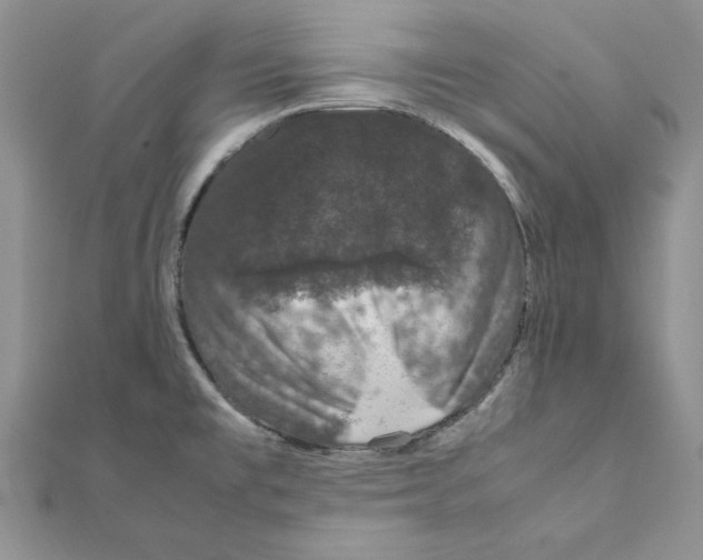 X0000111661477200908141303