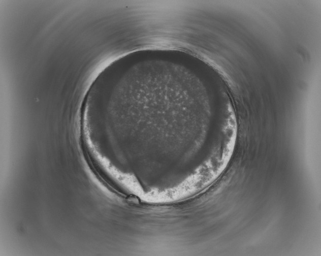 X0000111661479200908141303