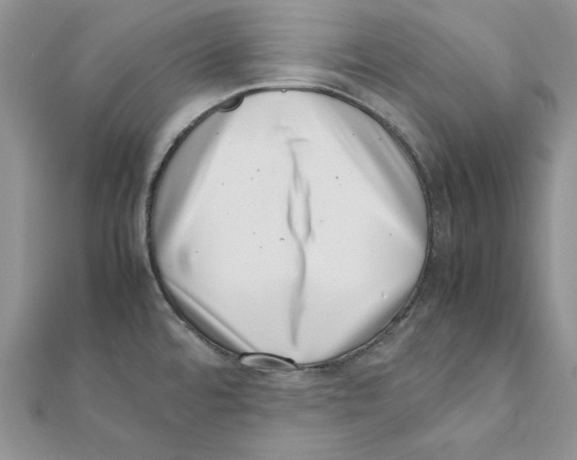 X0000111661480200908141303