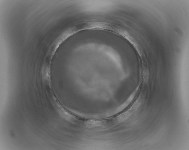 X0000111661481200908141303