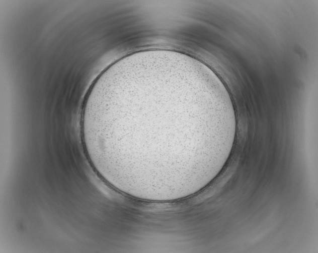 X0000111661482200908141303