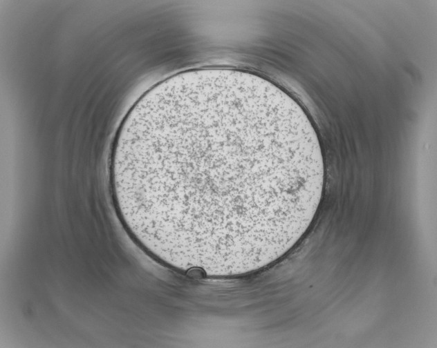 X0000111661483200908141303