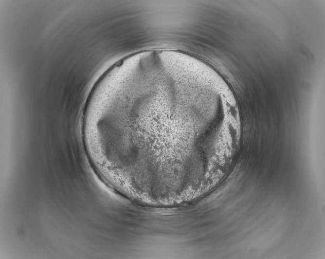 X0000111661484200908141303