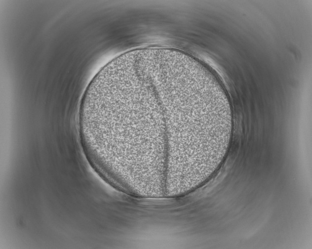 X0000111661487200908141303