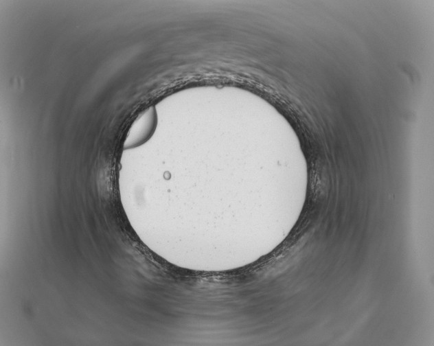 X0000111661490200908141302