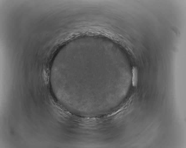 X0000111661491200908141302