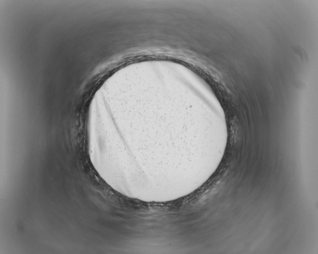 X0000111661494200908141302