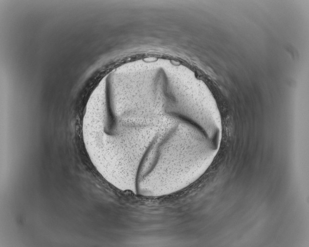 X0000111661495200908141302