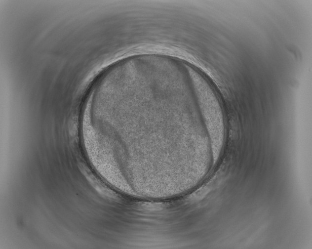 X0000111661499200908141302