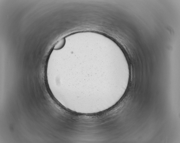 X0000111661500200908141302